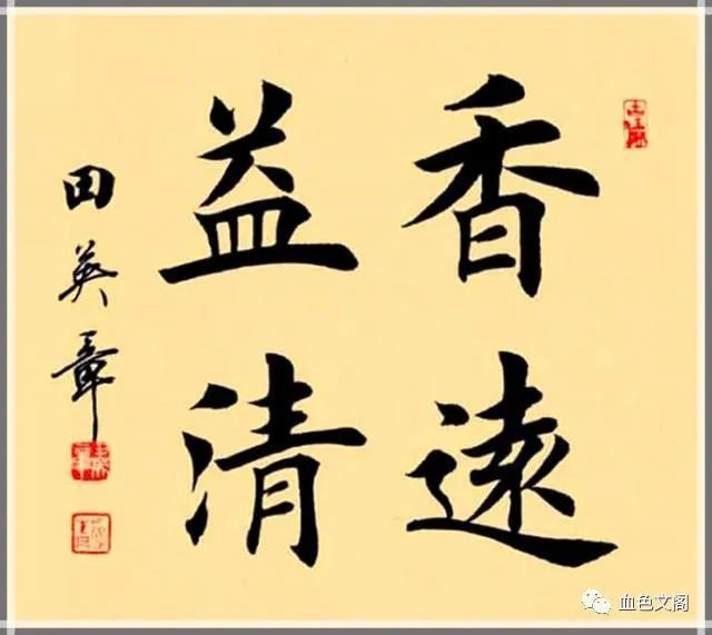 田字出头讲才气，独木成船双木林打一个正确生肖仔细释义、解释与落实、深度解答解释落实
