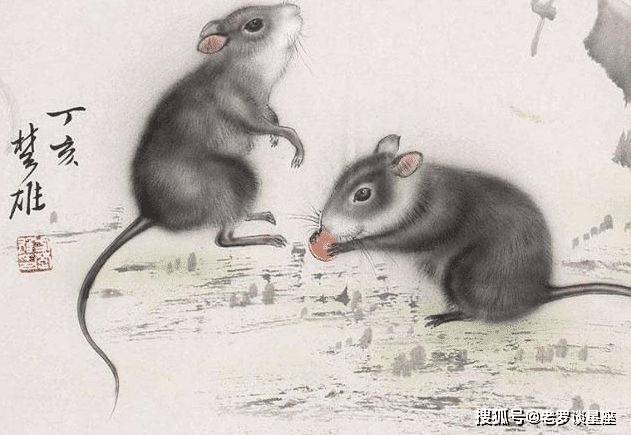 今期蛇猴马出特，心下多端亦懒言打一精准生肖，全面释义、实证解答解释落实
