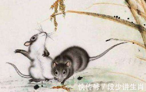 今期蛇猴马出特，心下多端亦懒言打一精准生肖，全面释义、实证解答解释落实